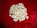 S Enterprises Manufacturing